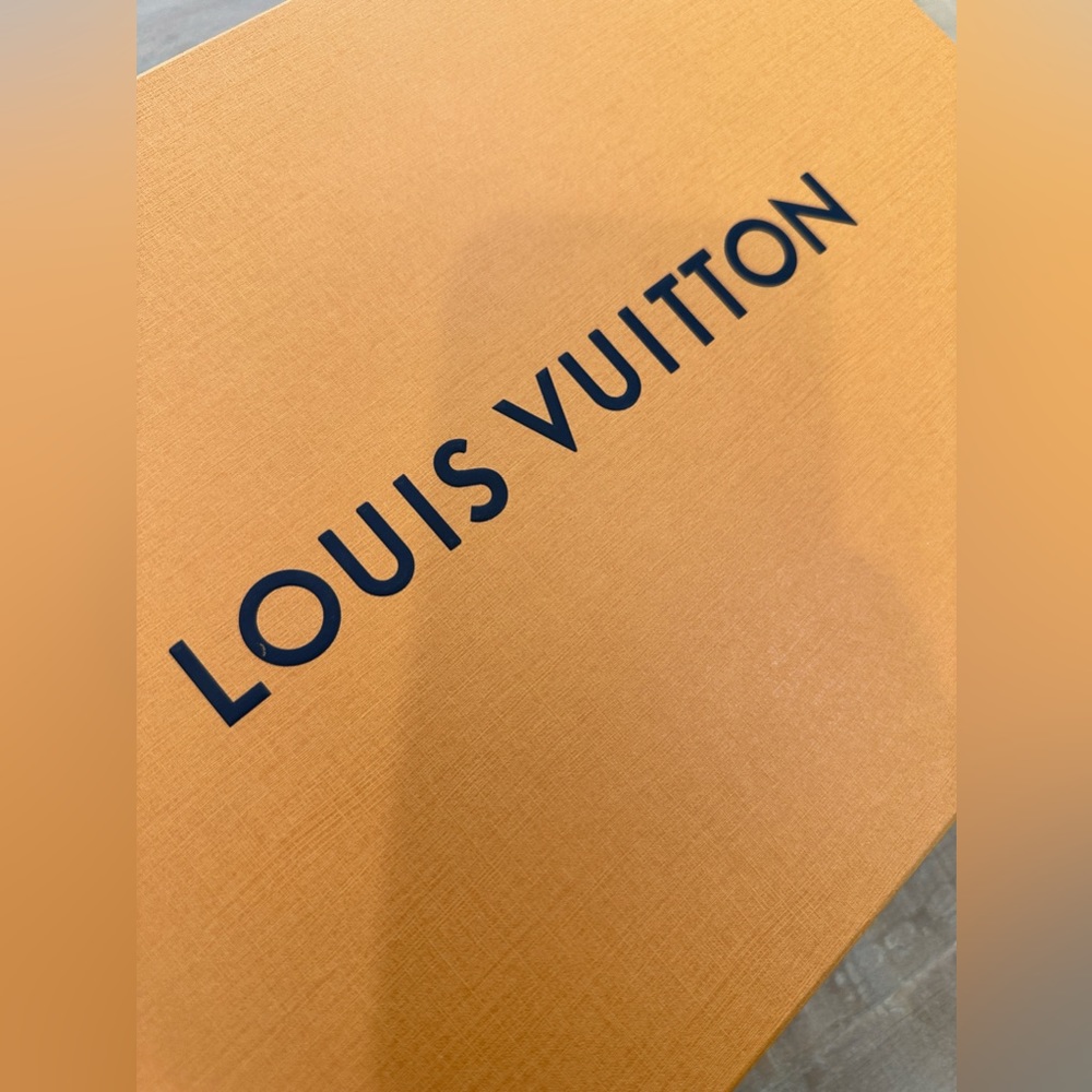 Authentic Louis Vuitton handbag purse shoe box